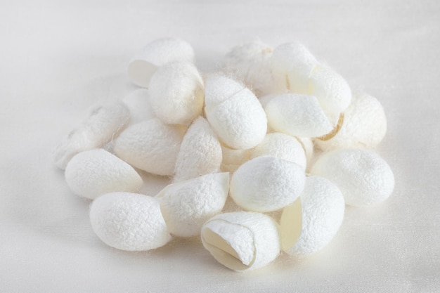 Photo many organic silkworm cocoons on white silk fabric