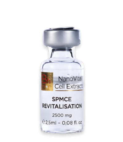 SPMCE REVITALISATION